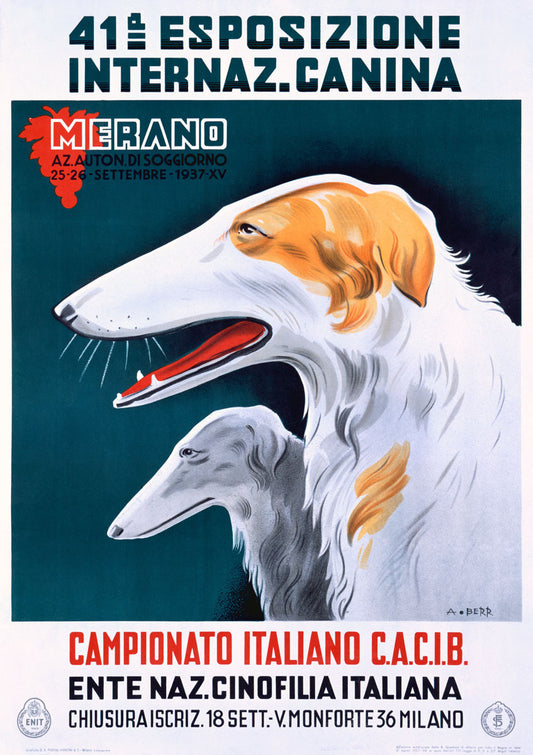 Campionato Italiano C.A.C.I.B. 0000-3136