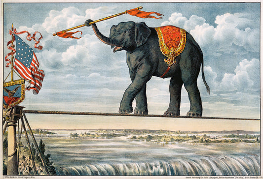 Elephant Crossing Niagra Falls 0000-3348