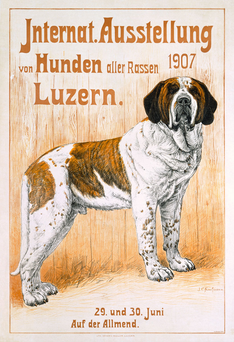 Vintage St Bernard Dog Show Poster 0000-3402