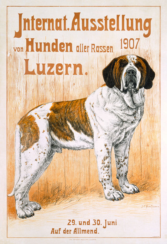 Vintage St Bernard Dog Show Poster 0000-3402
