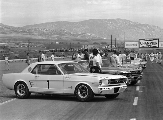 1966 Riverside SCCA Trans-Am Race 0001-4541