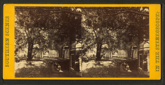 View in Judge Burdett's Garden, Jacksonville, Fla.