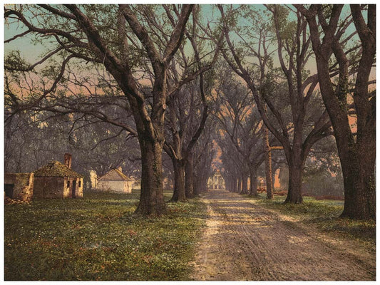 Yhe Hermitage, Savannah 0400-2359