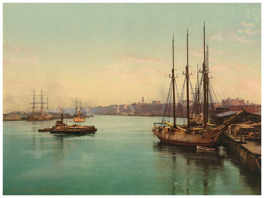 Yhe Savannah River 0400-2362