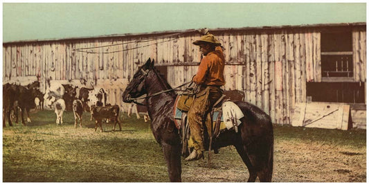 Cowboy throwing lariat 0400-2639