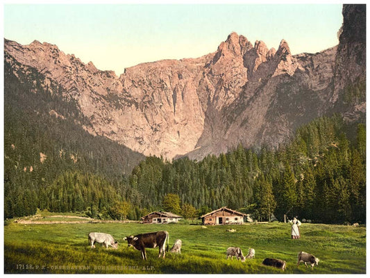 Scharitzkehl-Alp, Upper Bavaria, Germany 0400-3337