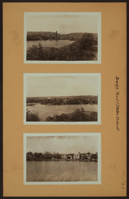 Brady's Pond - Staten Island [Richmond - Abandoned plant of Staten Island Railroad.]