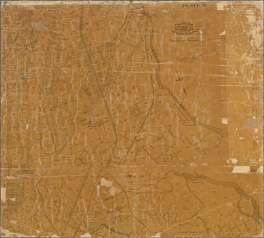 Map of the 23rd ward, New York City