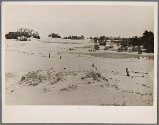 Area covered by sand. In the background, a barn is being submerged. Desert of Maine, Freeport.