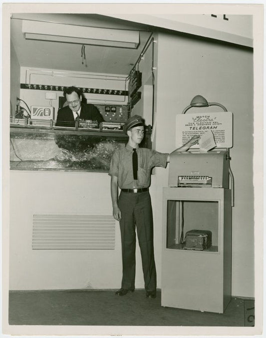New York Zoological Society - Telegram being transmitted by electric eel