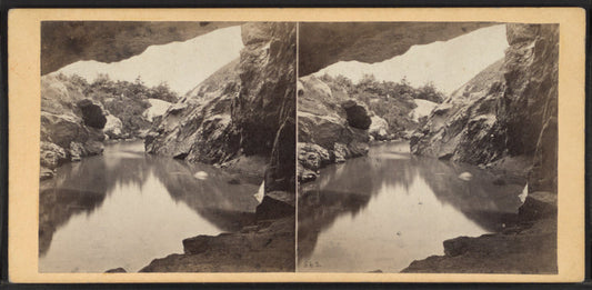 Central Park. View from interior of Cave, looking out.