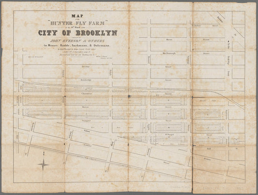 Map of the "Hunter Fly Farm" in the 9th ward of the city of Brooklyn: conveyed by John Ryerson & others to Messrs. Radde, Sackmann, & Dohrmann, by deed recorded in Kings County Clerk's Office in liber 212 of conveyances page 31