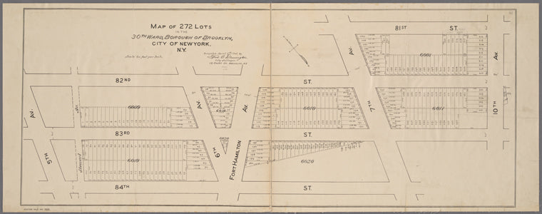 Map of 272 lots in the 30th wards, borough of Brooklyn, City of New York