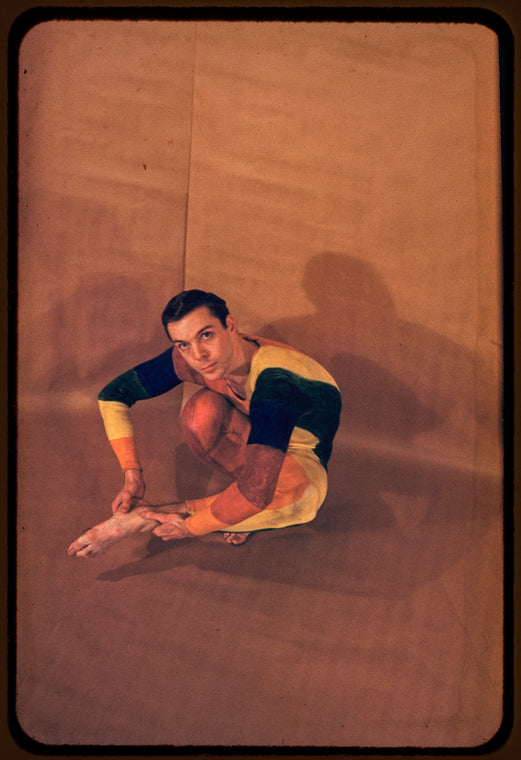 Paul Taylor in "The Least Fly-catcher"