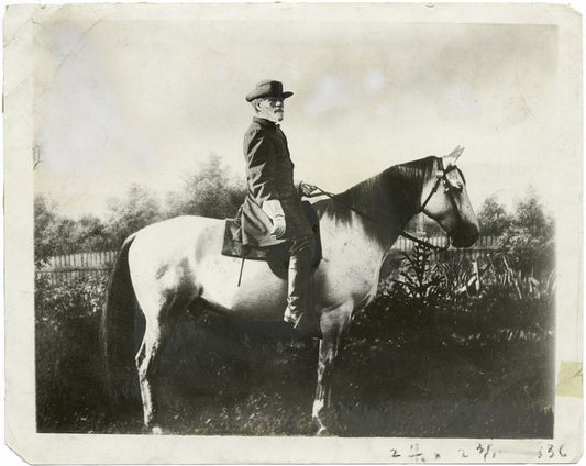 General Lee on Traveller.