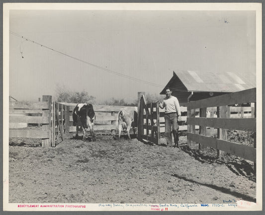 Self-help cooperative dairy. This dairy is being taken over by the Resettlement Administration. Near Santa Ana, California