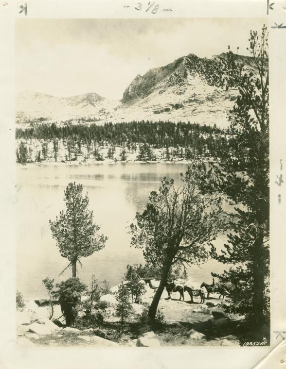 Horses at unidentified body of water