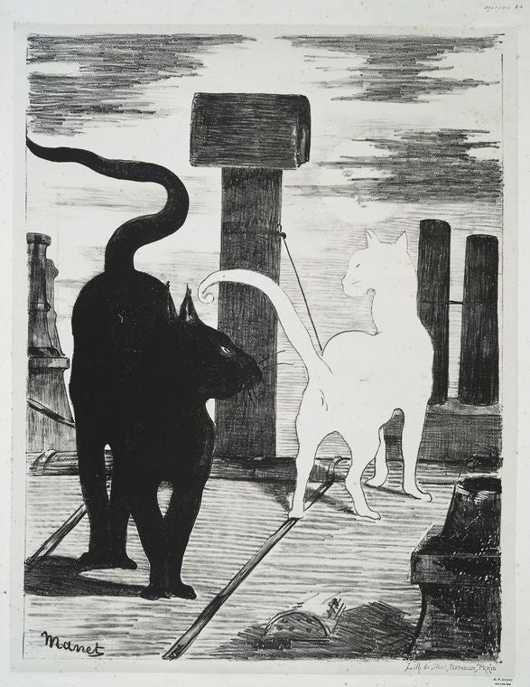 Le rendez-vous des chats.