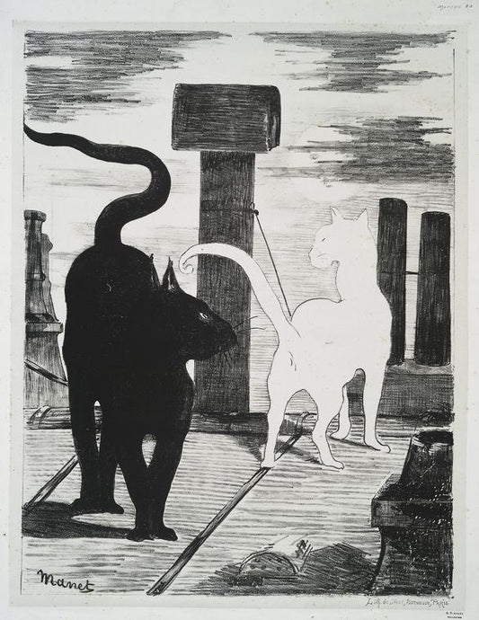 Le rendez-vous des chats.