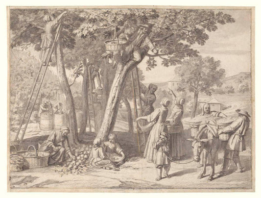 An Apple Harvest Gm-00018501