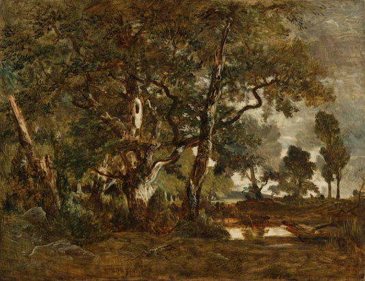 Forest of Fontainebleau, Cluster of Tall Trees Overlooking the Plain of Clair-Bois at the Edge of Bas-Bréau Gm-30425001