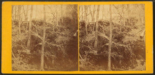Burt's Cave, near Maquoketa River, Jackson County, Iowa.