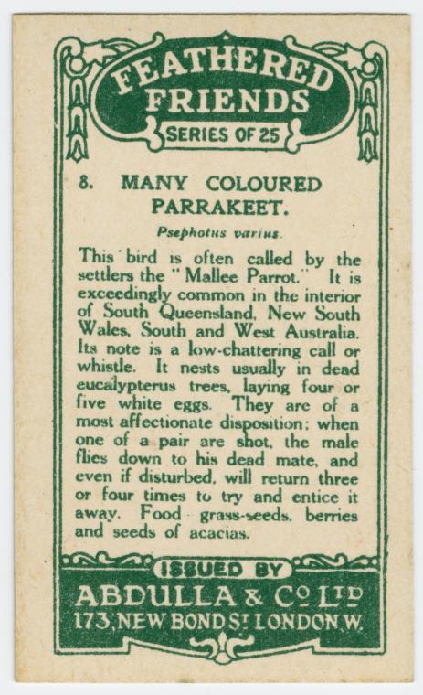 Many Coloured Parrakeet.