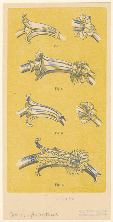 Acanthus designs