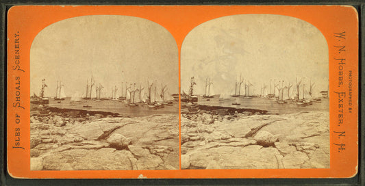 Oceanic Regatta, July 24, 1875, No. 3.