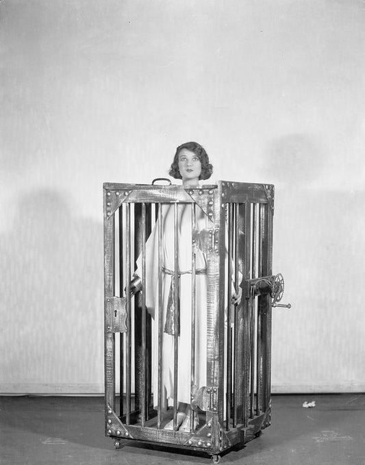Constance Carpenter as the Demoiselle Alisande La Carteloise.